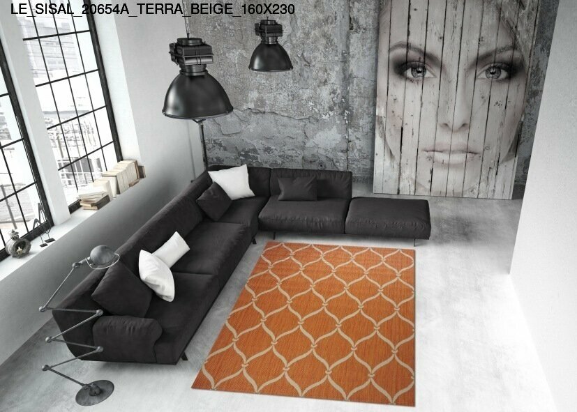 le_sisal_20654a_terra_beige_160x230