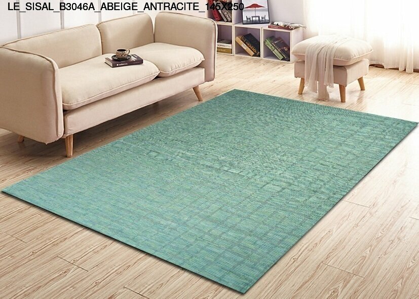 le_sisal_b3046a_abeige_antracite_145x250