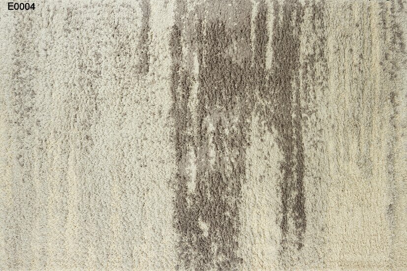 e0004