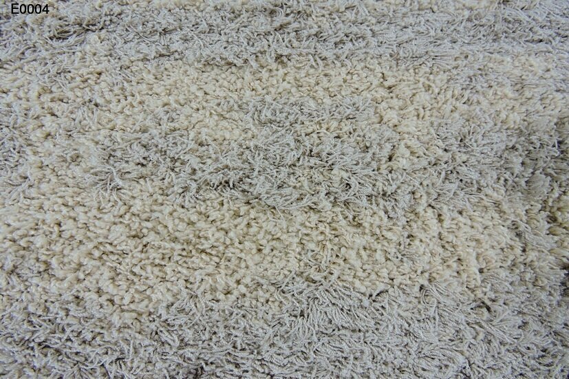 e0004