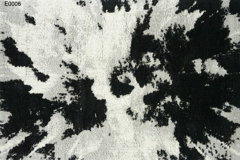 e0006
