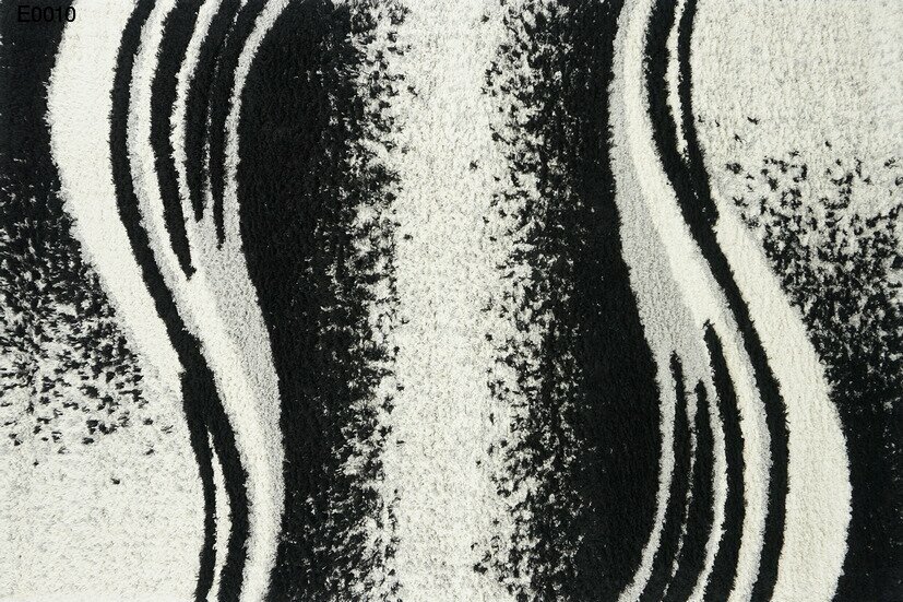e0010