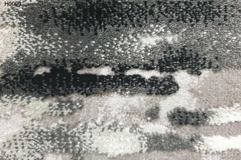 h0009
