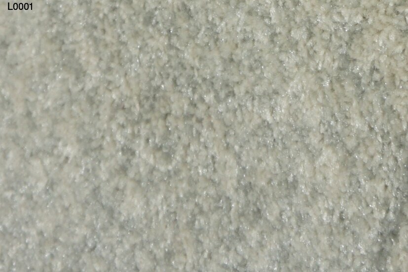 l0001