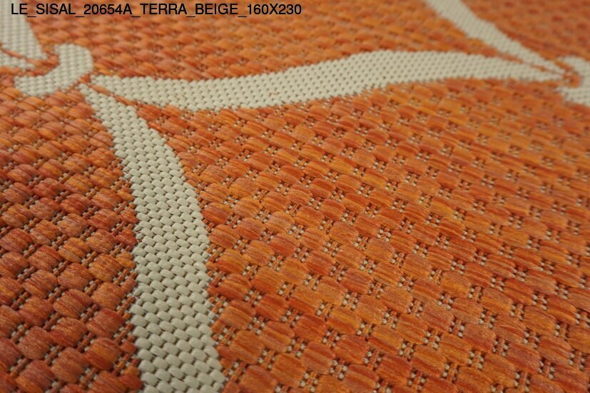 le_sisal_20654a_terra_beige_160x230