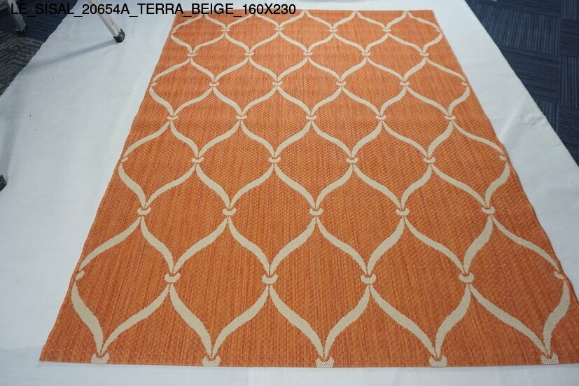 le_sisal_20654a_terra_beige_160x230