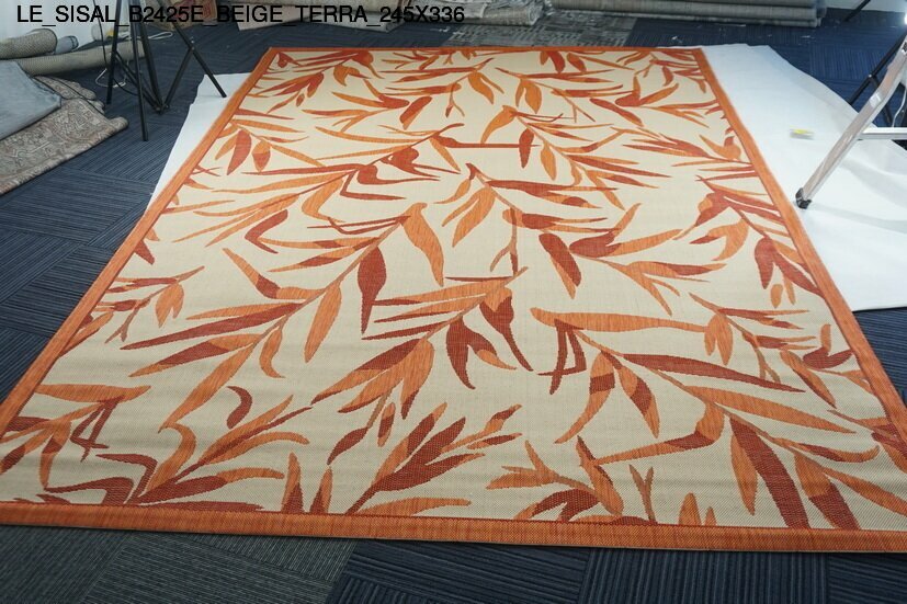 le_sisal_b2425e_beige_terra_245x336