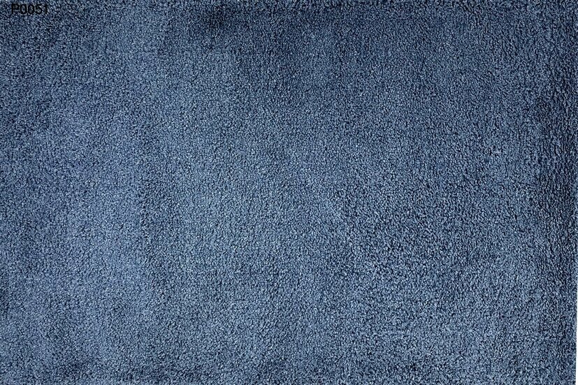 p0051