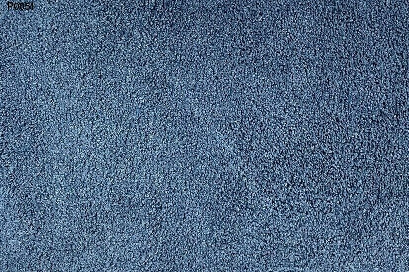 p0051