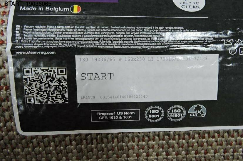 start_19036065