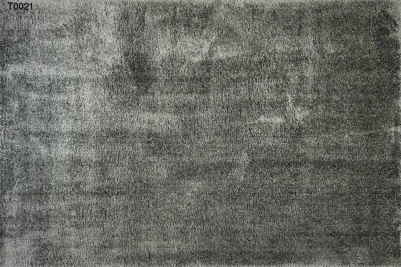 t0021